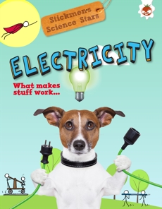 Electricity: What Makes Stuff Work book