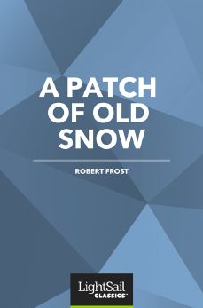 A Patch of Old Snow