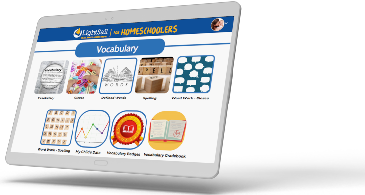 Vocabulary
