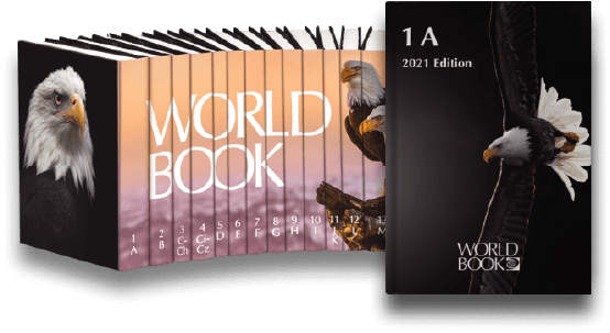 World book