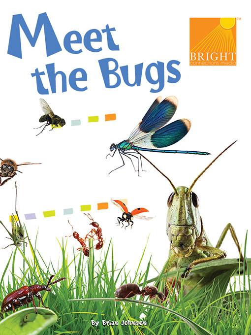 Meet the Bugs
