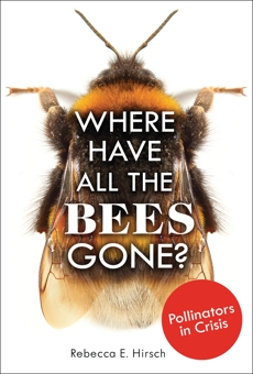 
Where Have All the Bees Gone?